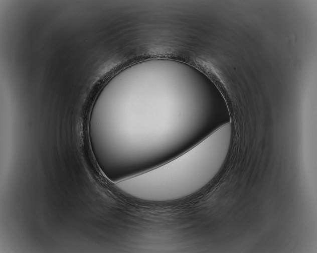 X0000086950684200704161057
