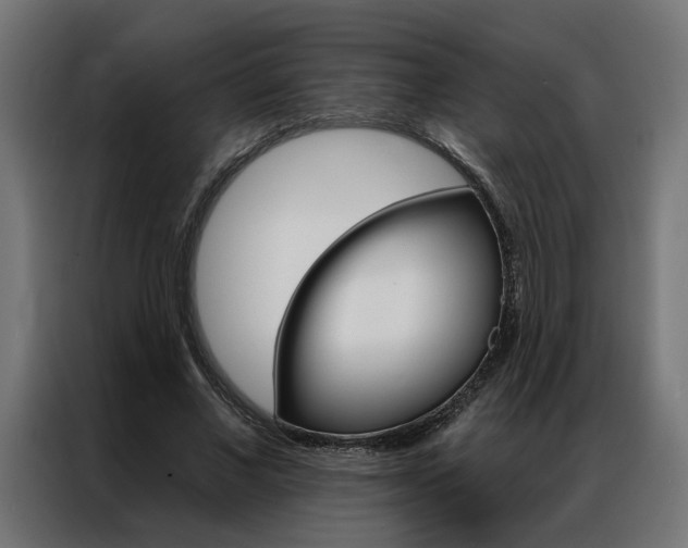 X0000086950685200704161057