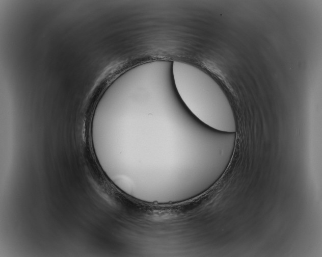 X0000086950686200704161057
