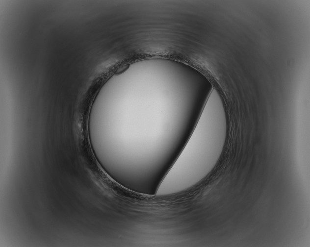 X0000086950688200704161057