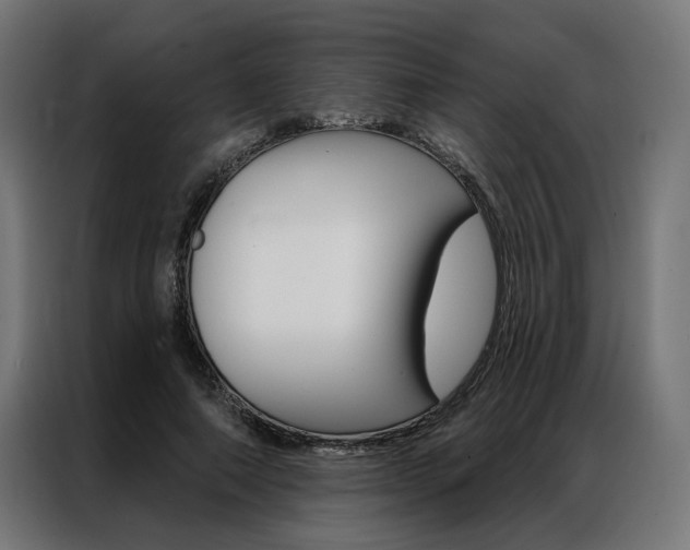 X0000086950690200704161057