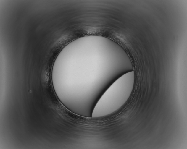X0000086950691200704161057