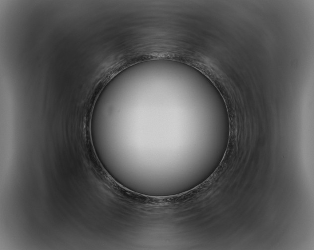 X0000086950696200704161057