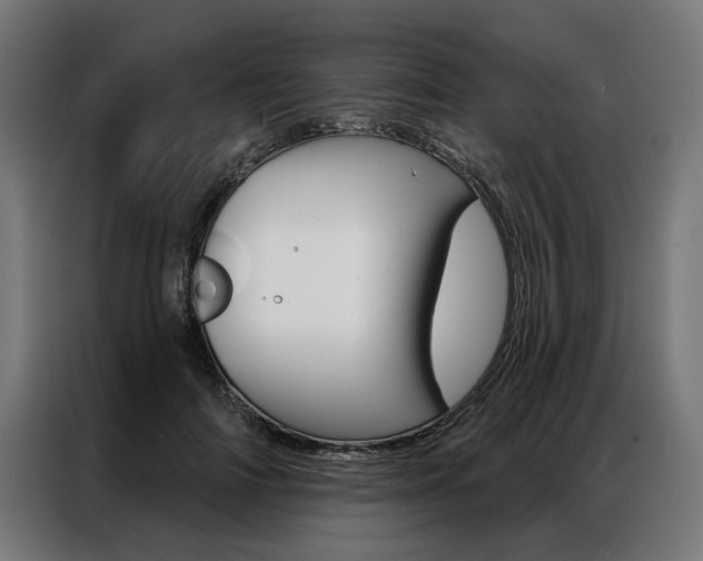 X0000086950698200704161057
