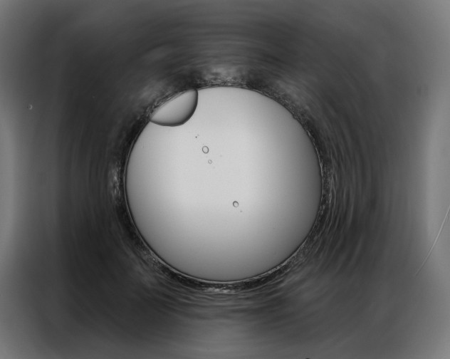 X0000086950699200704161057