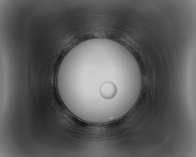 X0000086950702200704161057