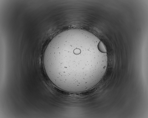 X0000086950703200704161057