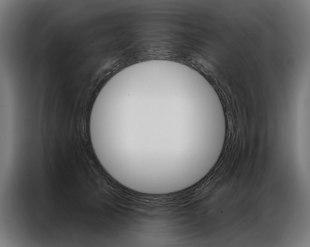X0000086950705200704161057