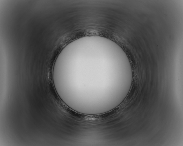 X0000086950706200704161057