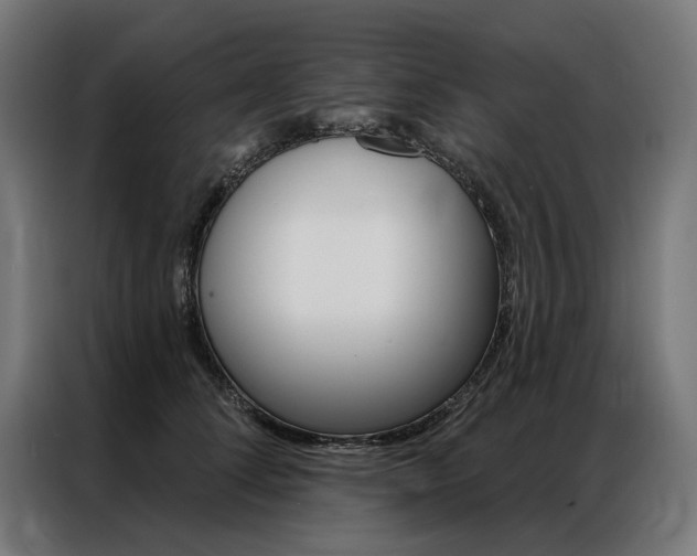 X0000086950708200704161057