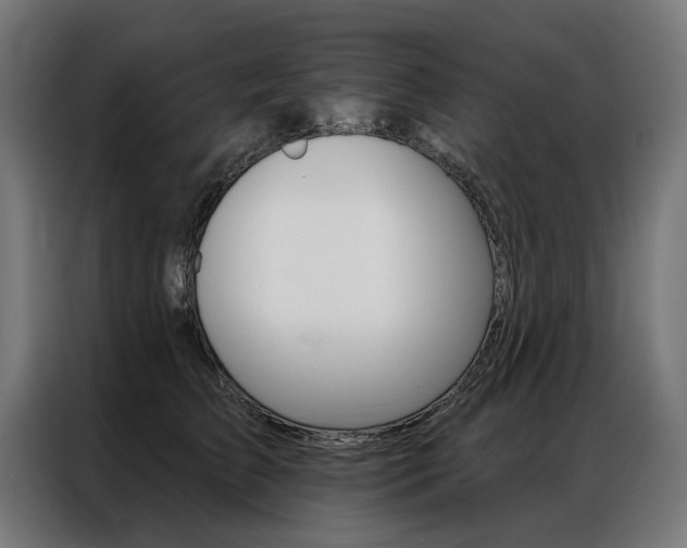 X0000086950709200704161057