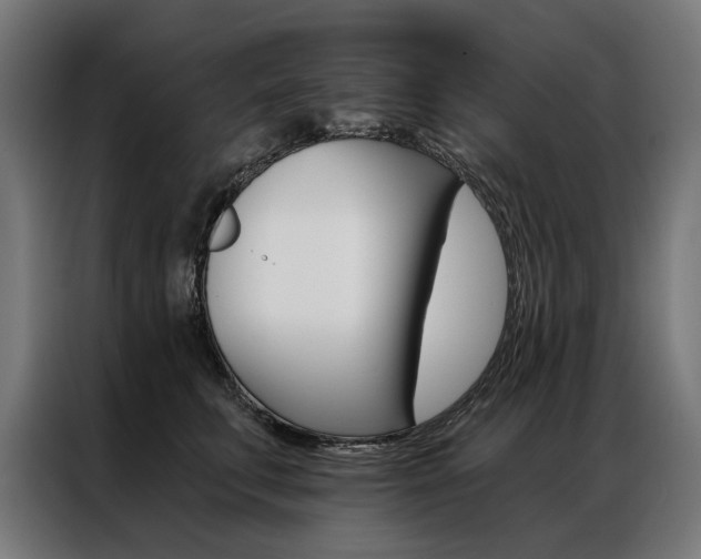 X0000086950711200704161057