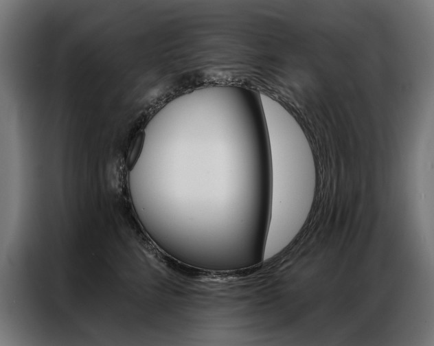 X0000086950712200704161057