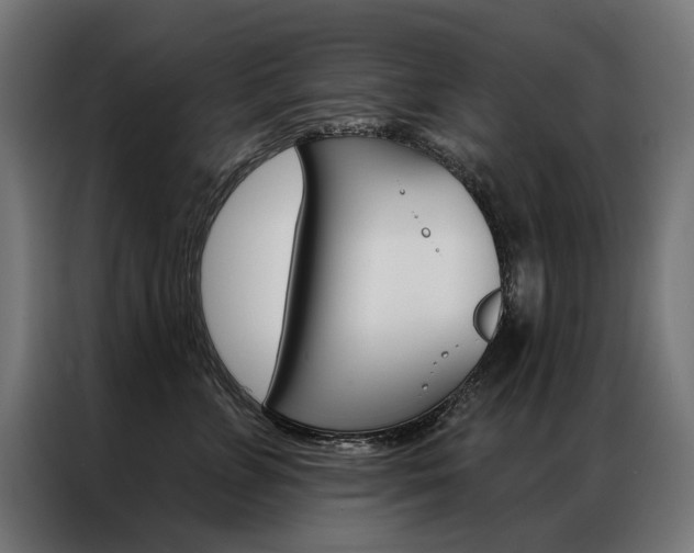 X0000086950715200704161057