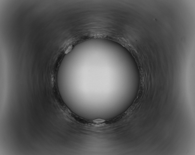 X0000086950716200704161057