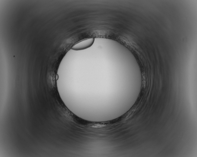 X0000086950718200704161057