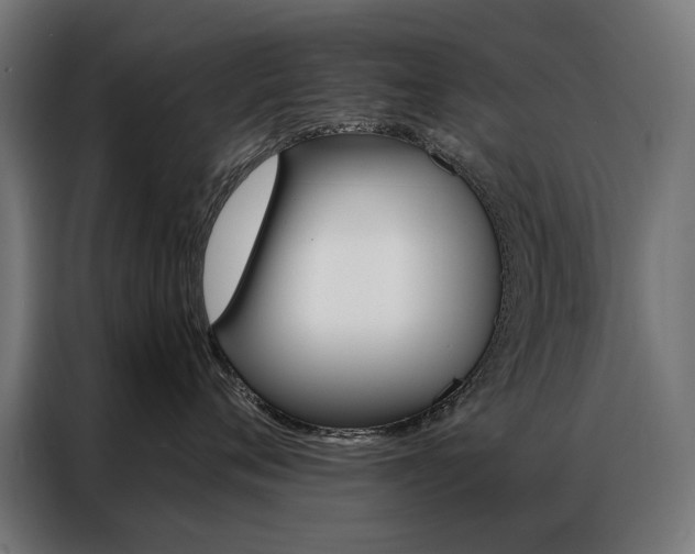 X0000086950720200704161057