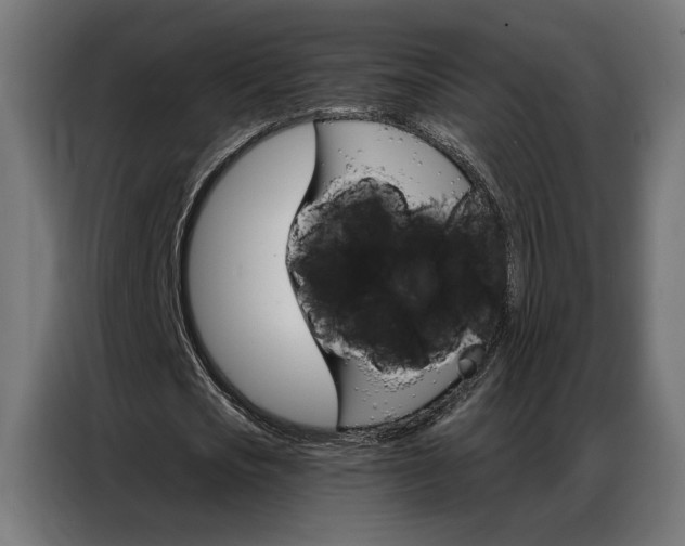 X0000086950721200704161056