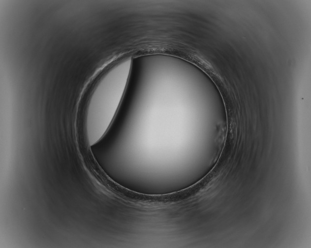 X0000086950722200704161056
