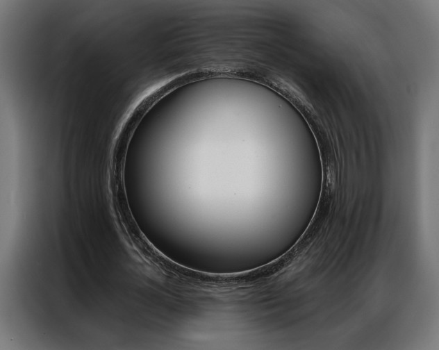 X0000086950724200704161056