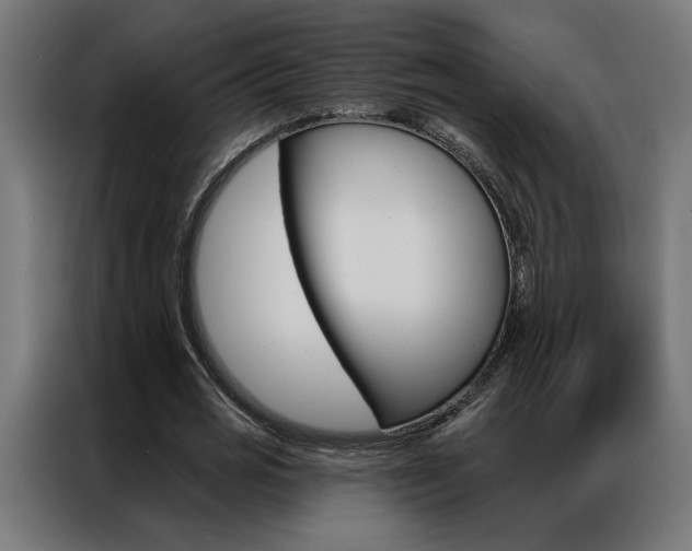 X0000086950725200704161056