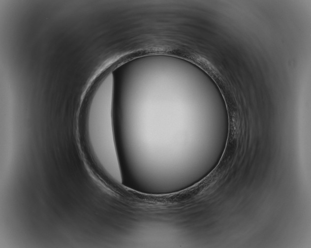 X0000086950726200704161056