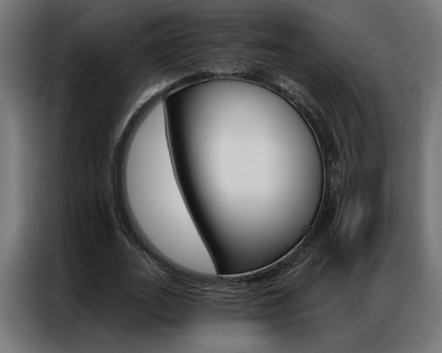 X0000086950727200704161056
