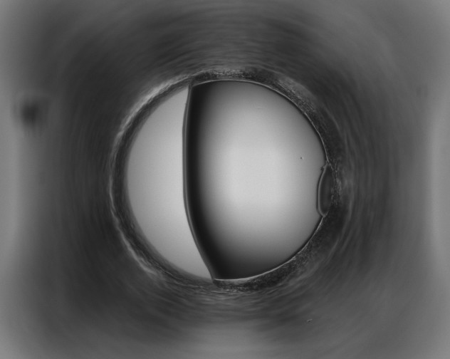 X0000086950728200704161056