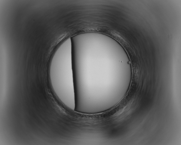 X0000086950729200704161056