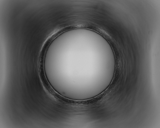 X0000086950730200704161056