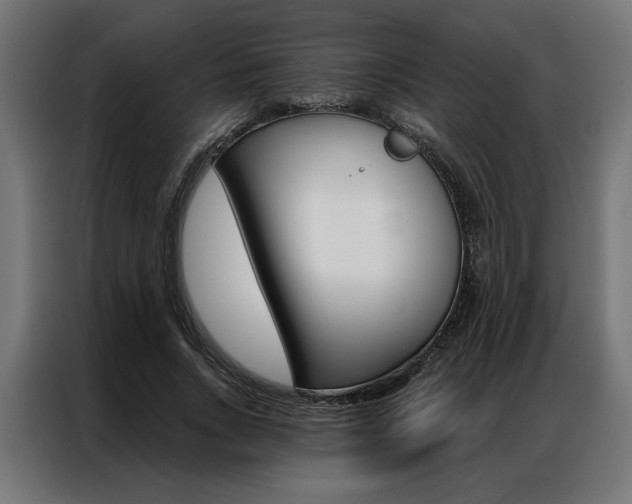 X0000086950735200704161056