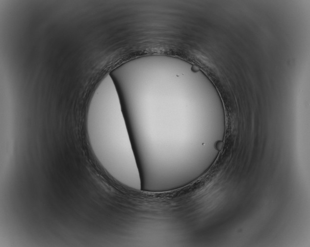 X0000086950737200704161056