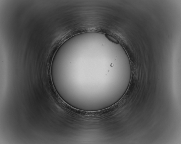 X0000086950740200704161057