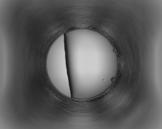 X0000086950745200704161057