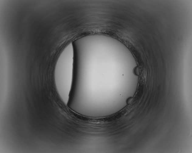 X0000086950746200704161057