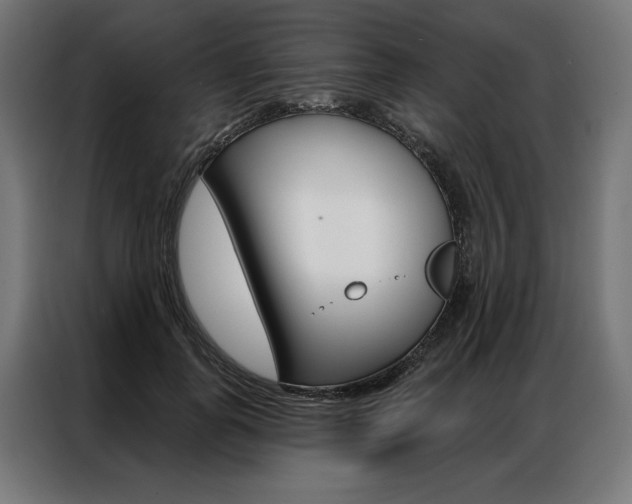 X0000086950747200704161057