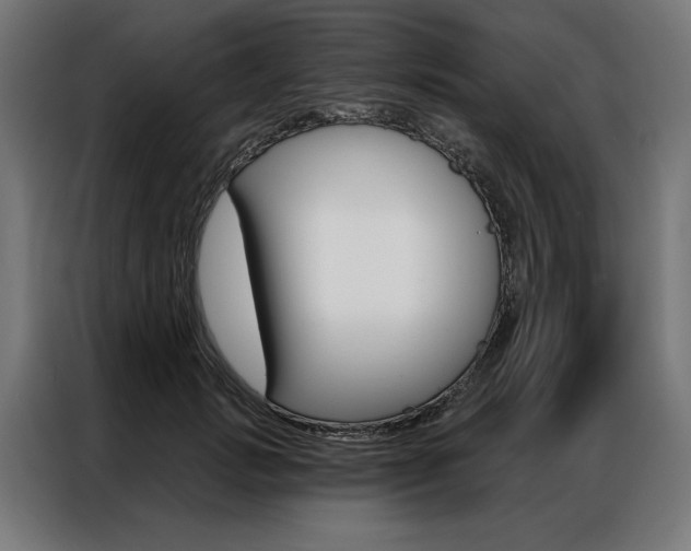 X0000086950749200704161057