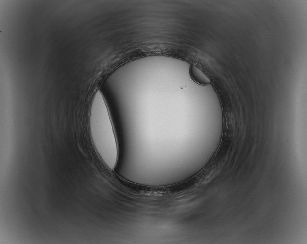 X0000086950751200704161057