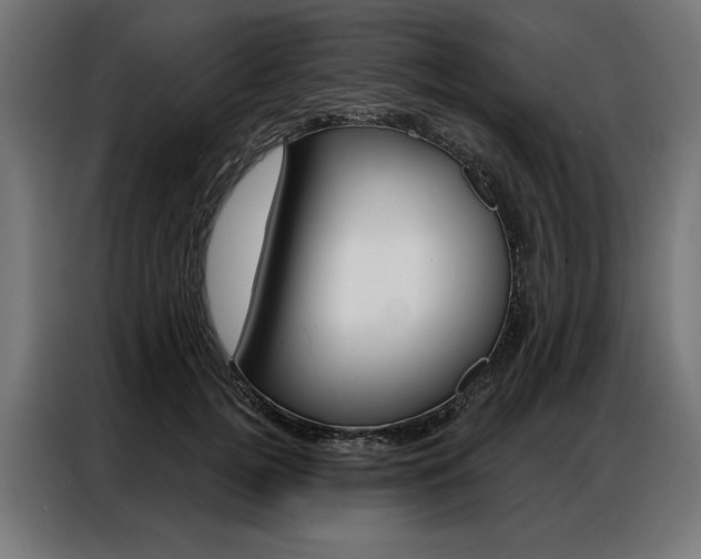 X0000086950752200704161057