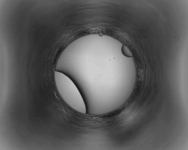 X0000086950753200704161057
