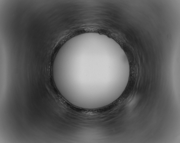 X0000086950755200704161057