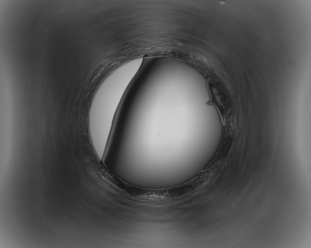 X0000086950756200704161057