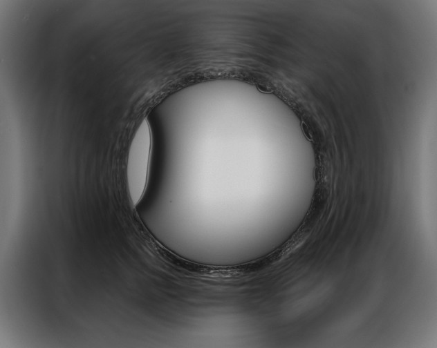 X0000086950758200704161057