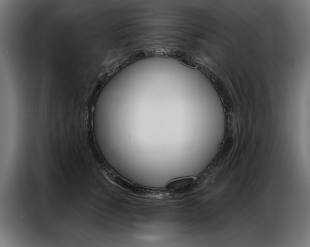 X0000086950760200704161057