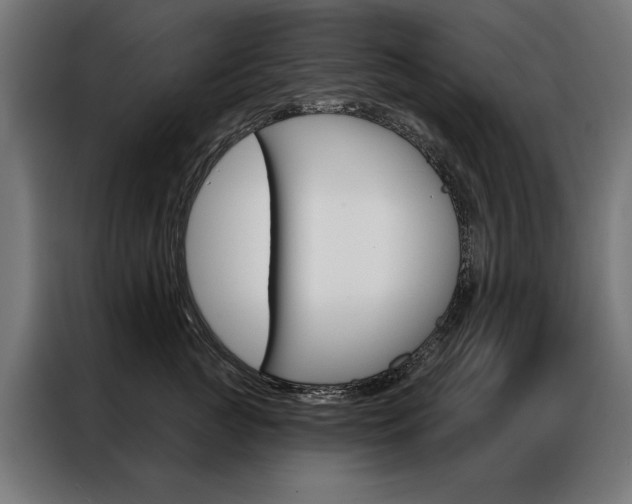 X0000086950761200704161057