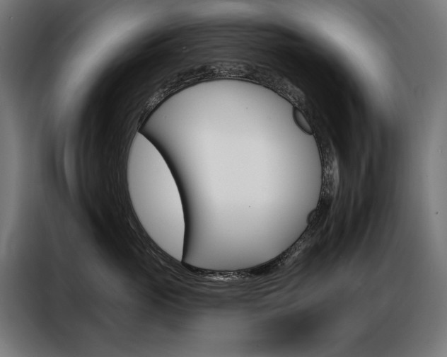 X0000086950765200704161057