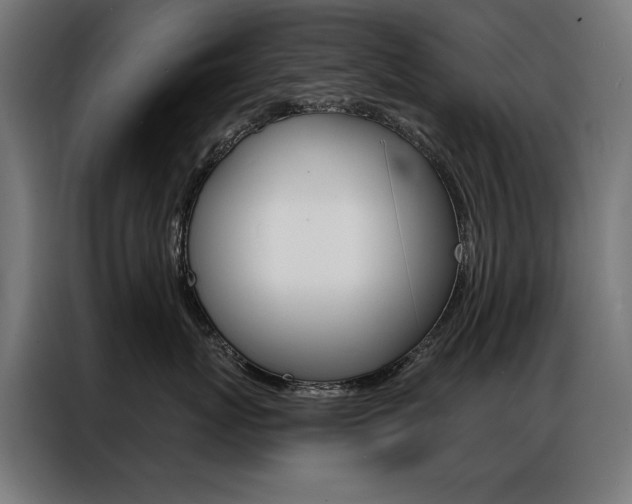 X0000086950767200704161057