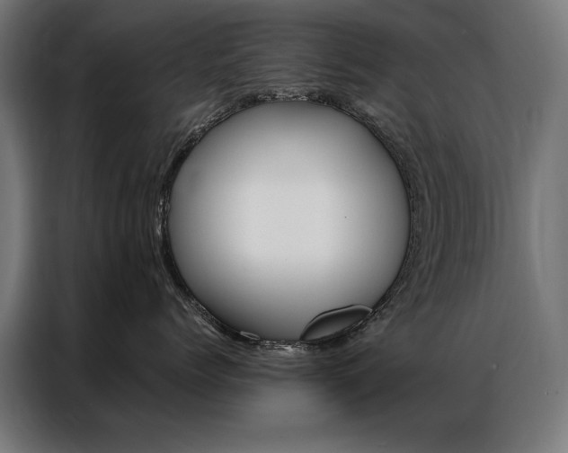 X0000086950768200704161057