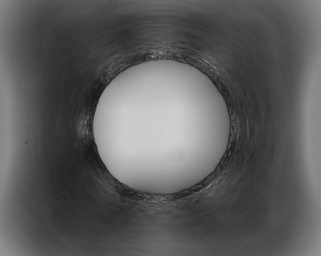 X0000086950770200704161056