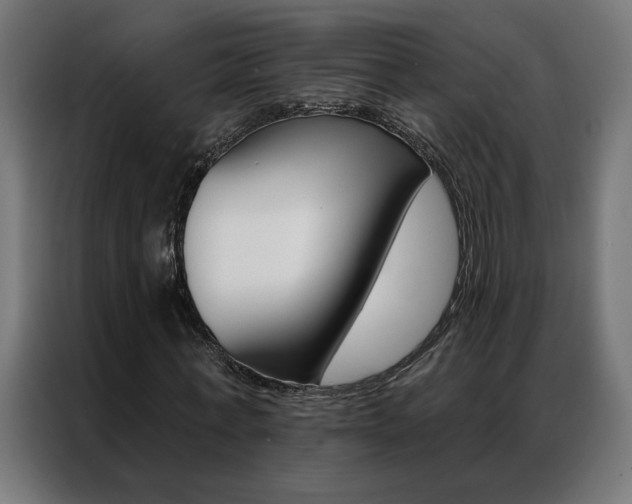 X0000086950771200704161056